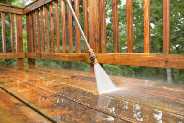 Best Local Pressure Washing Services  in Wills Point, TX